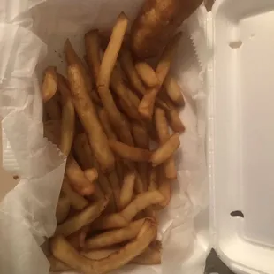 Fries and mozzarella stick (singular because I forgot to take a photo)