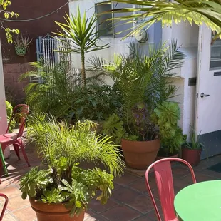 Patio area in the back. Clean, lush n cozy.
