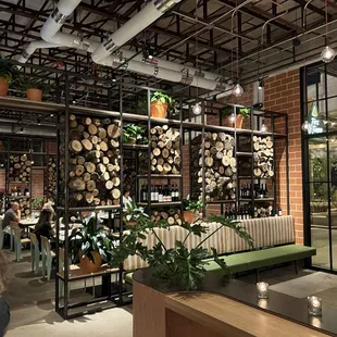 ramen and noodles, interior