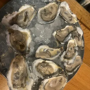 Oysters