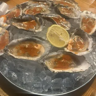Oysters
