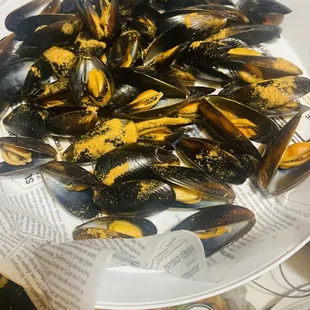 shellfish, mussels, oysters and mussels, food, oysters