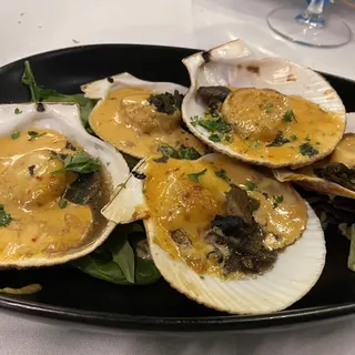 Fifi's Creamy Scallops