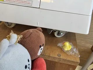 Kawaii Things