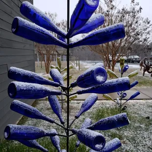 a blue bottle tree