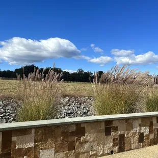 Sitting on the pavilion patio beside the vineyard.
