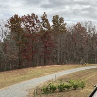 Another view, as you are seated in the porch tasting wine.