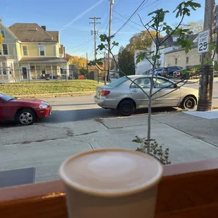 Pumpkin spice latte and a fig tree