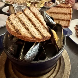 Coconut Curry Mussels