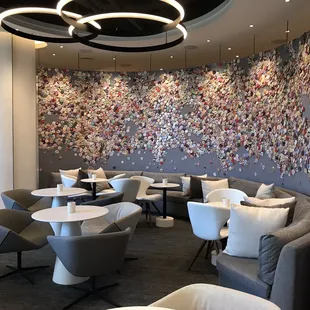 sushi and sashimi, interior