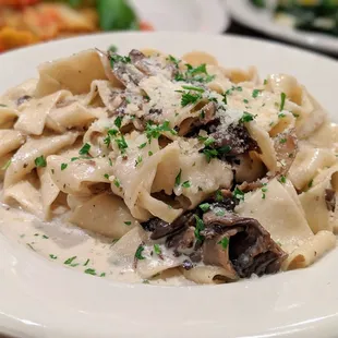 Fettuccine pasta ($4.55) with funghi sauce ($4.85). Wild mushrooms with cream and garlic. Best mushroom pasta I&apos;ve ever had.