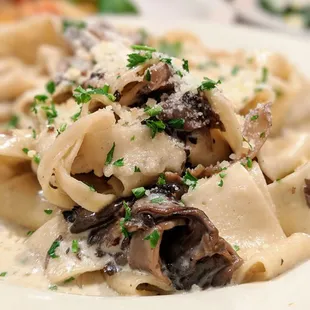 Fettuccine pasta ($4.55) with funghi sauce ($4.85). Wild mushrooms with cream and garlic. Best mushroom pasta I&apos;ve ever had.