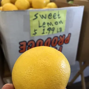 a person holding a lemon