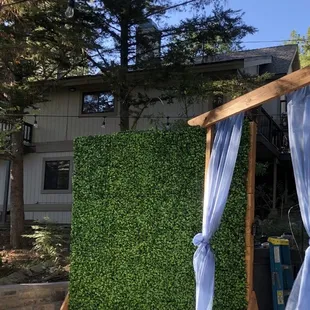 Boxwood backdrop we rented worked out to be perfect for great photos, my daughter wanted to keep it.