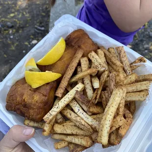 Fish and Taro Fries Plate