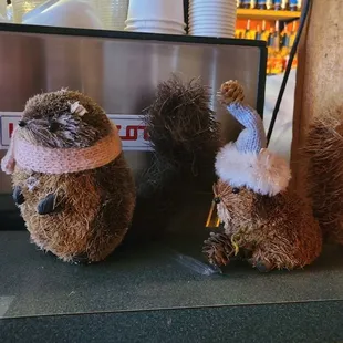 Cute Critters  06-27-2023