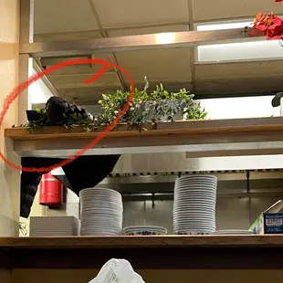 Staff members coat - she tossed it up there above the stack of plates.