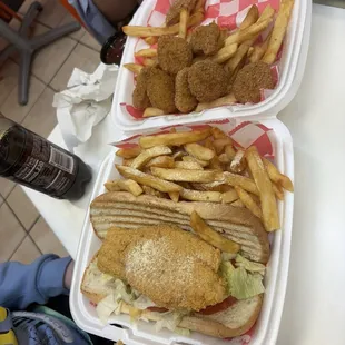 Fish Sandwich Combo 15PC Chicken Nuggets W/Fries