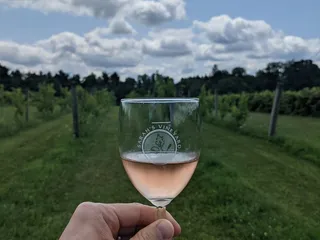 Sarah's Vineyard