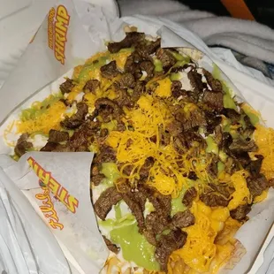 Carne asada fries