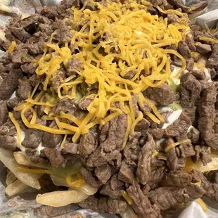 Carne Asada Fries