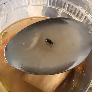 soup, chowder, food, soups and chowder