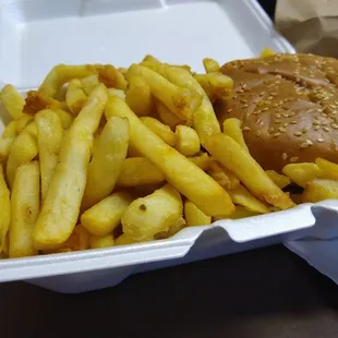 Hamburger and fries