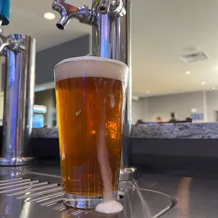 Local Beer Selection