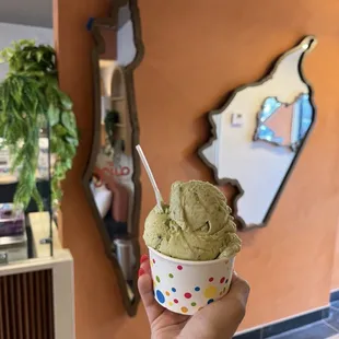 Pistachio ice cream, and I had mastic scoop underneath!