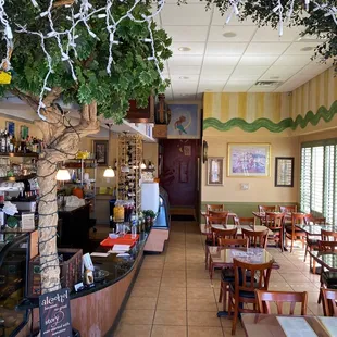 Amazing Mediterranean cuisine, been coming here awhile and it never disappoints.