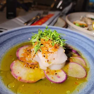 Scallop