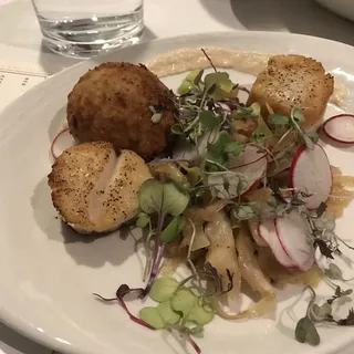 Scallops