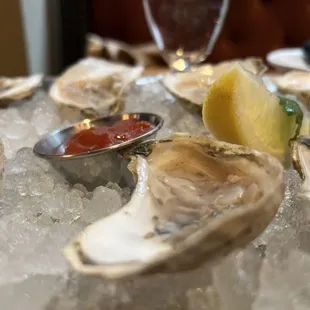 Oysters