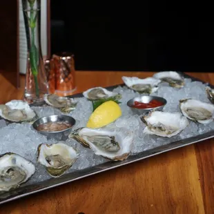 Duxbury Oysters