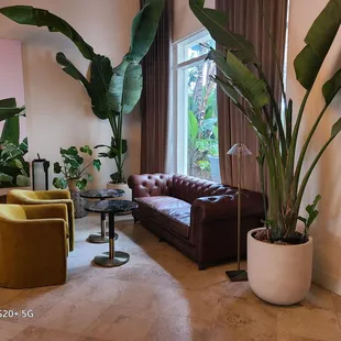 a living room with a couch, chair, plant, and window