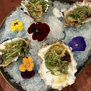 FIN oyster shooter