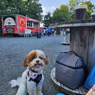 My pup and I enjoying Final Gravity and the John Brown Ale!