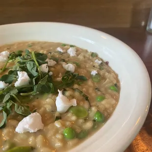 Fava Bean &amp; English Pea Risotto from our Dinner menu