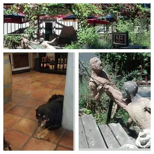 Grizzly and the beautiful patio area