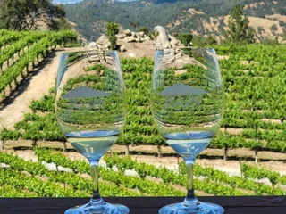 Gold Hill Vineyard & Brewery