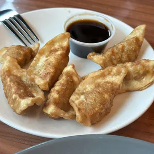 Fried Dumplings