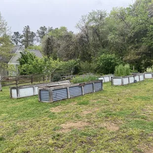 How much fresher can your herbs be from the backyard?