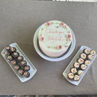 Our beautiful cake and mini cupcakes. Everyone loved it!