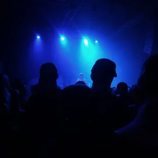 a crowd of people at a concert