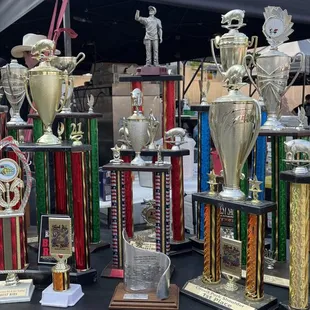 Won trophies all over the country