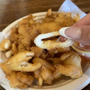 a plate of deep fried food