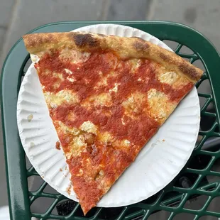a slice of pizza on a paper plate