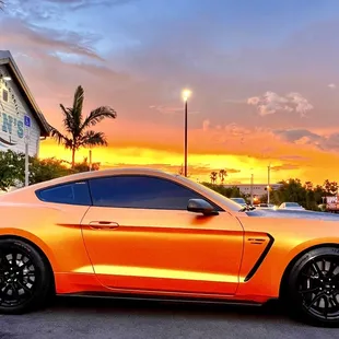 I had to post it. It looked so pretty with the matching sunset and Finn's in the background