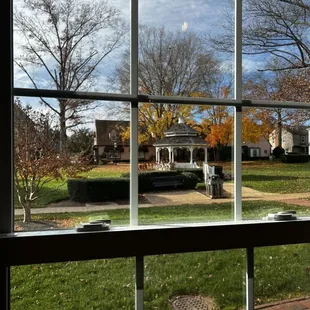 View from the back window