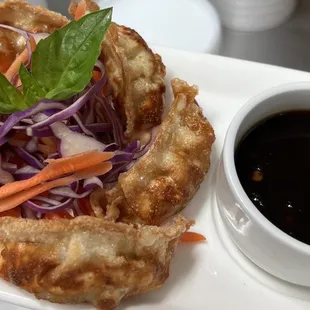 Potsticker